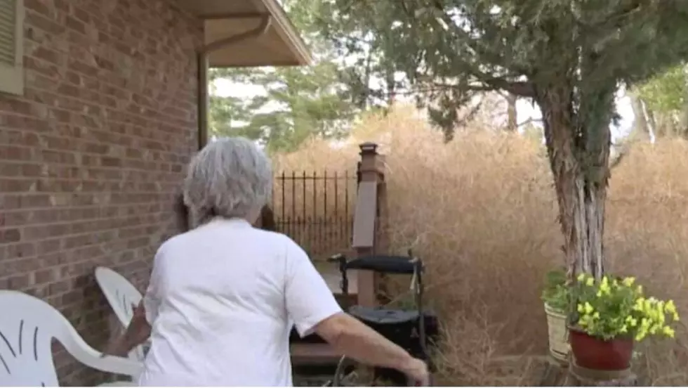 Colorado Couple Goes Viral After Being Terrorized By Tumbleweeds