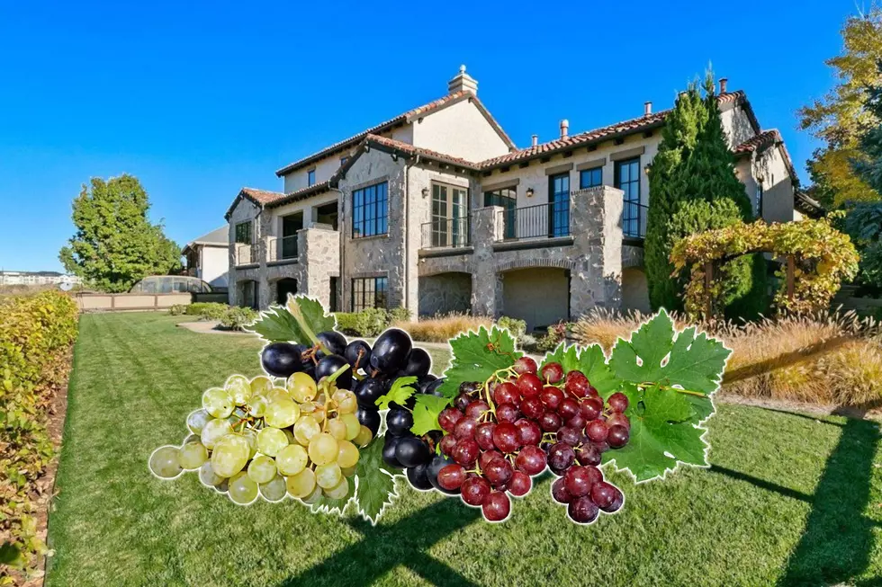 This $2.3 Million Home in Colorado has its Own Little Vineyard