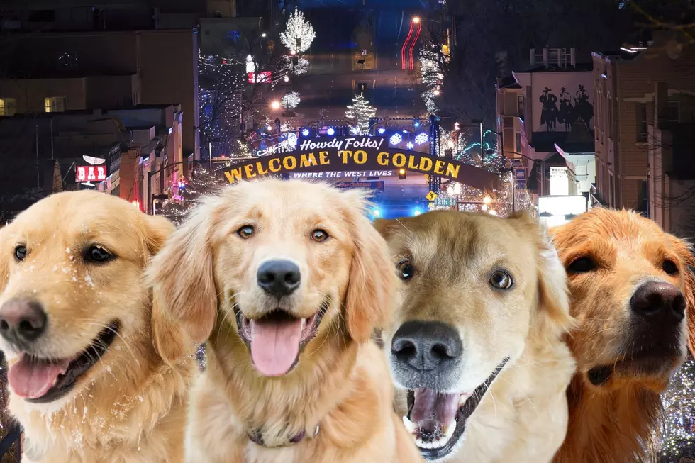 Thousands of Golden Retrievers Took Over Golden, CO This Weekend