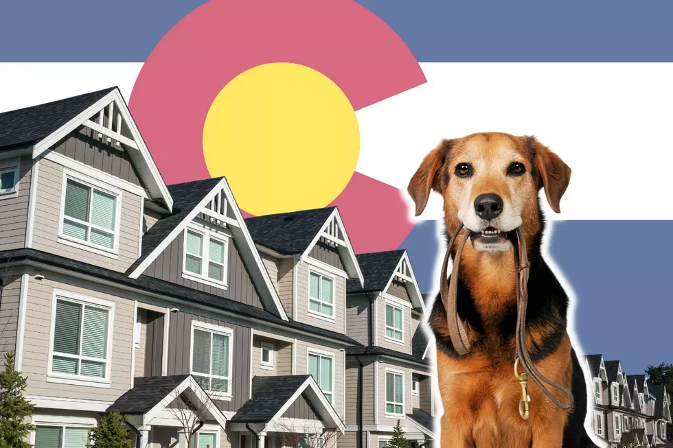 Could a New Bill Ban Pet Rent and Pet Deposits in Colorado?