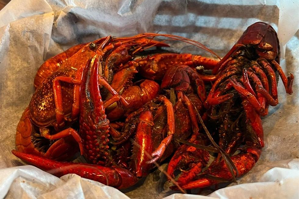 Here’s Why You’ve Stopped Seeing Crawfish Boils in Colorado