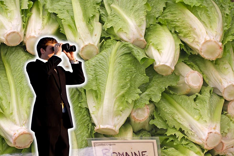 Is There a Romaine Shortage or am I just Having Bad Luck?