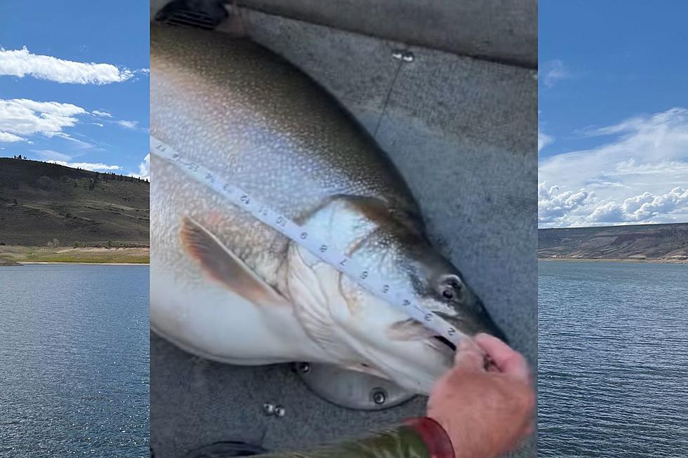 Angler Reels In Record-Breaking Catch From Colorado Reservoir