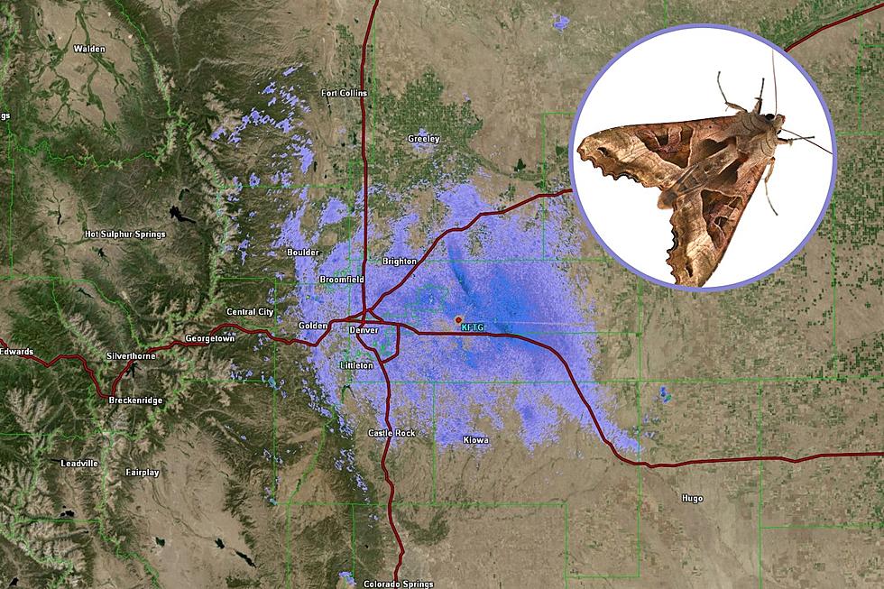 Weather Radar Picks Up Miller Moth Migration in Colorado