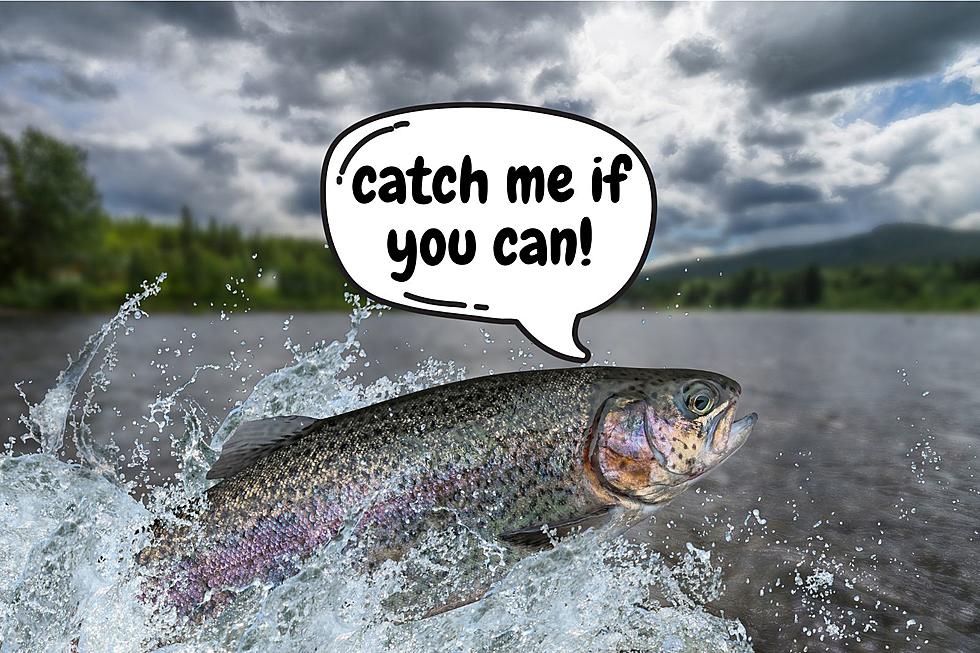 Cast a Line and Fish For Free This Weekend in Colorado