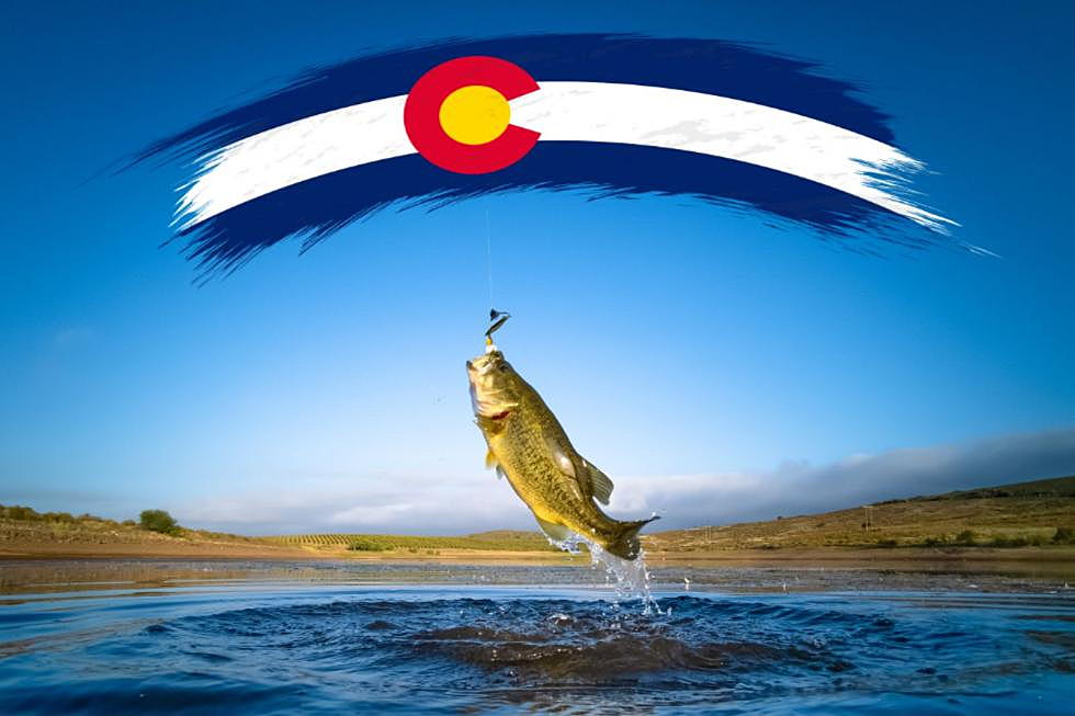 3 Quick Tips For Fishing In Colorado This Summer