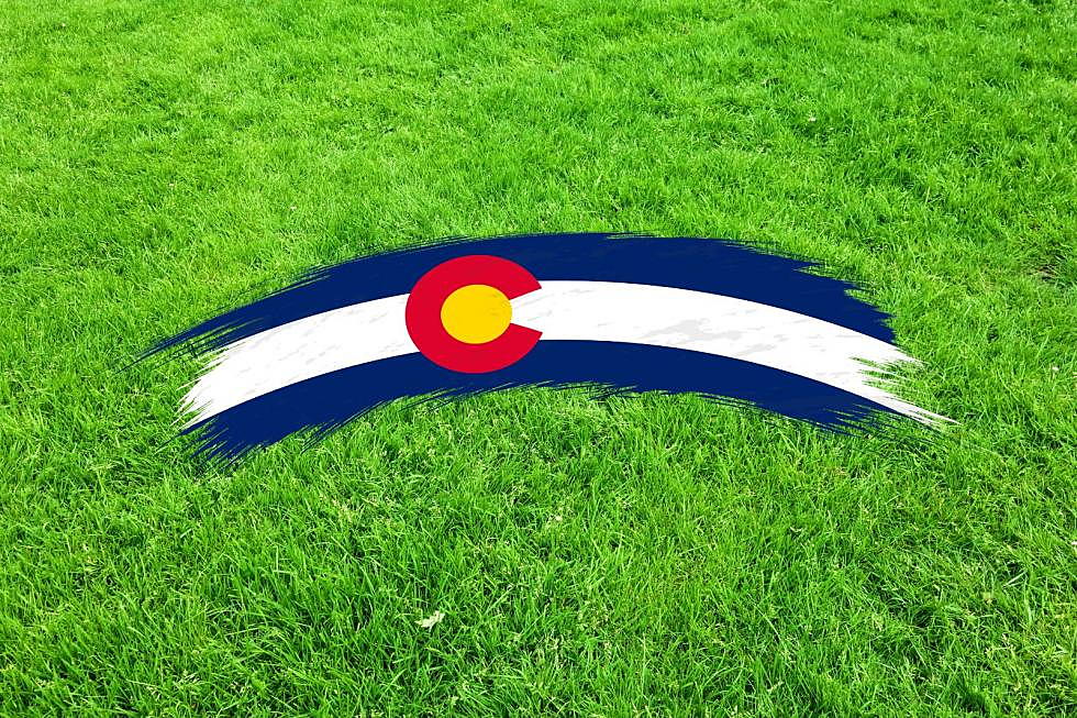 3 Tips To Keep Your Colorado Lawn Perfect This Year