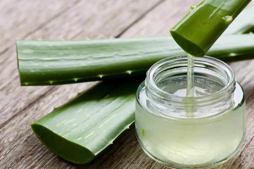 Aloe Vera
