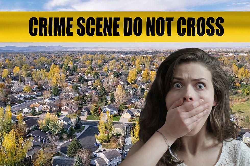 WATCH OUT: The 3 Most Common Crimes in Fort Collins Colorado