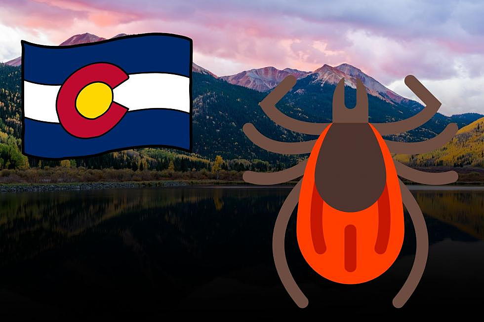 Colorado Tick Hot Spots: Beware and Stay Vigilant