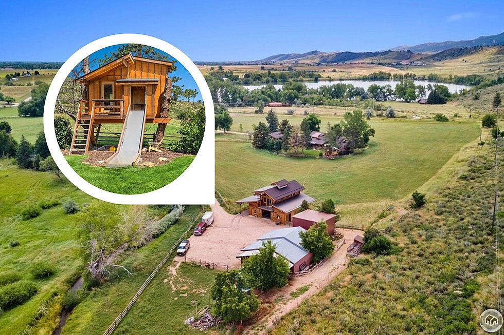 Stunning $3.4 Million Fort Collins, Colorado Farm House Has a Treehouse