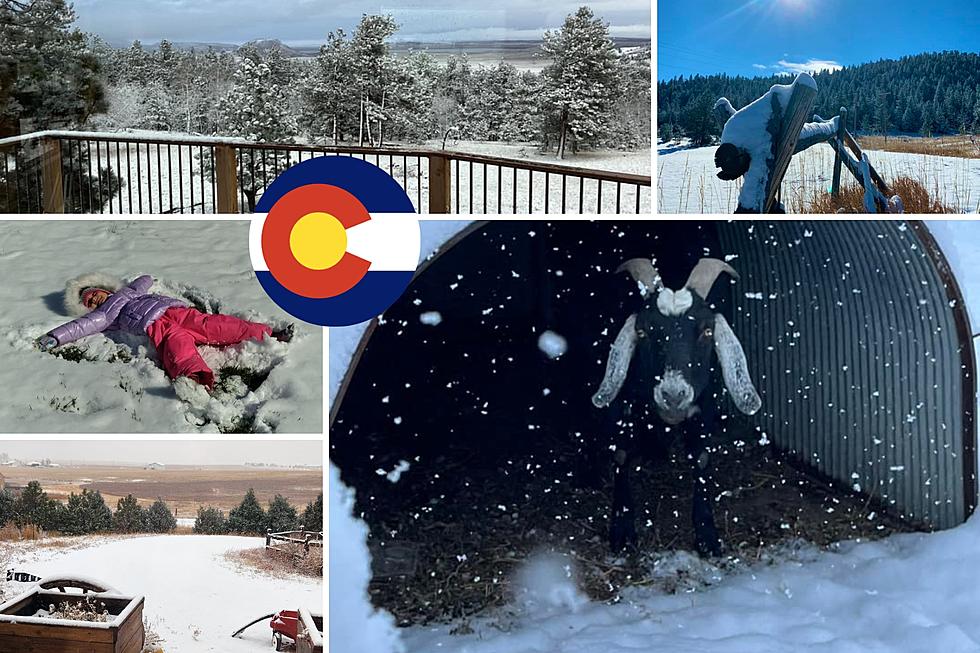 LOOK: 17 Photos of Northern Colorado's 1st Snow of the Season