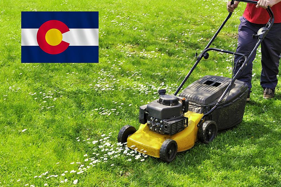 Fall is Here: Is It Time to Stop Mowing Your Lawn in Colorado?