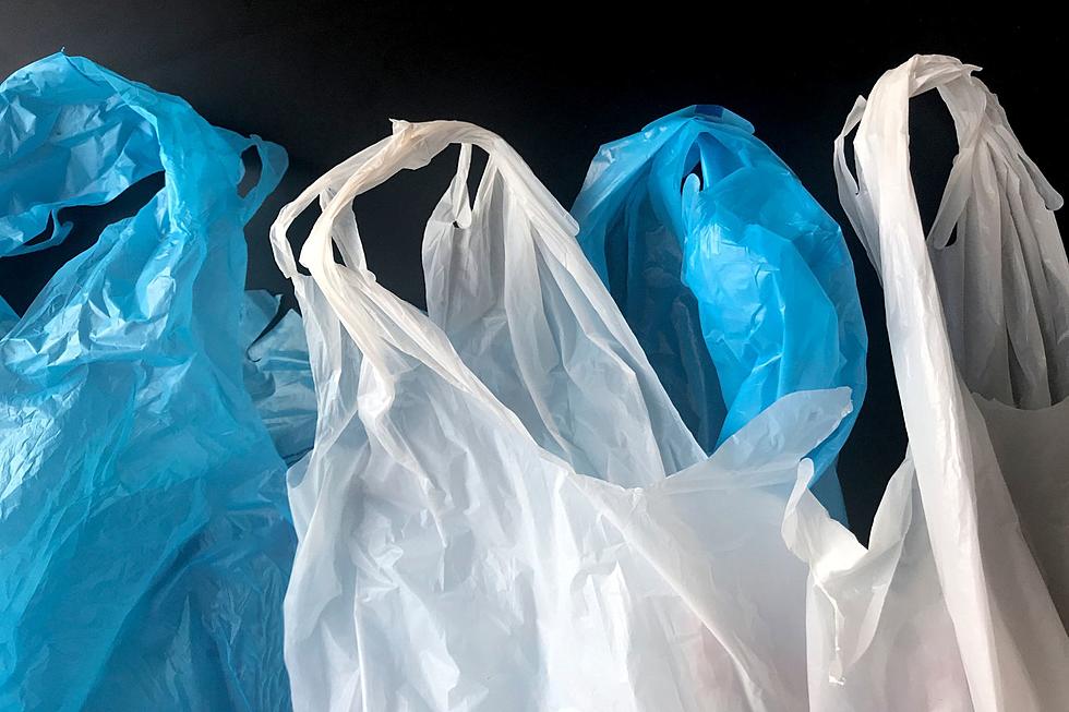 Colorado Single-Use Plastic Bag Ban Starts January 1, 2024