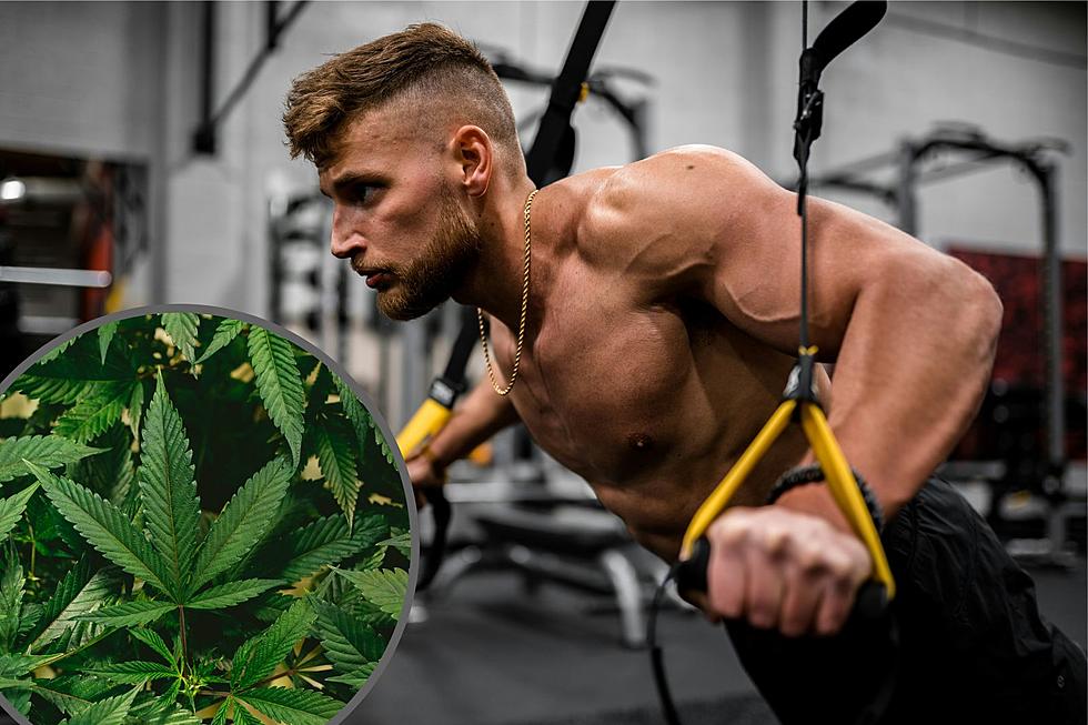 Weed and Workouts: First-of-its-Kind Study by CU-Boulder