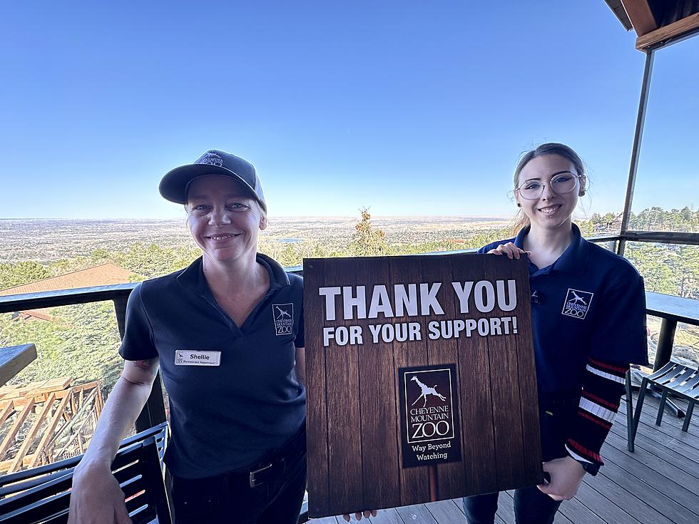 A Colorado Zoo Has Been Ranked One of the Best in the Nation