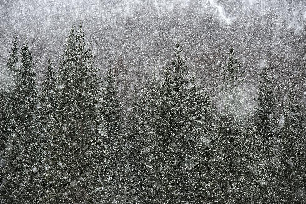 Several Colorado Ski Resorts are Closed Due to Snow