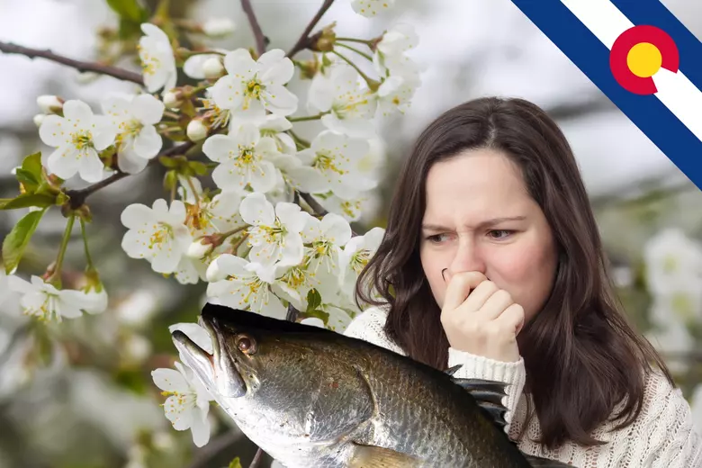 A tree that smells like rotting fish is so invasive that states