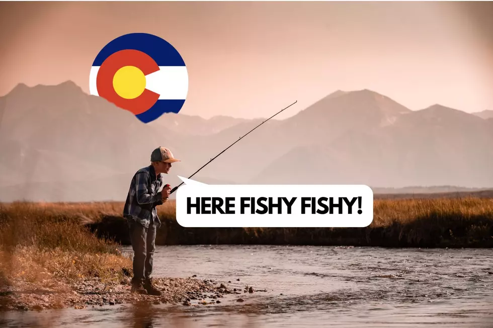 When Can You Fish for Free in Colorado?