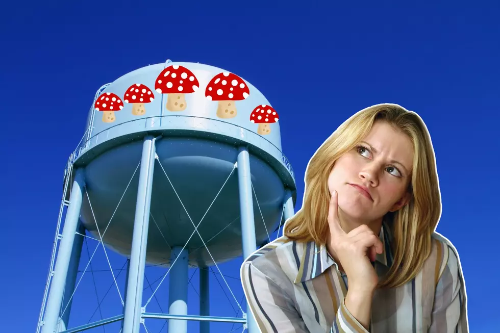 Why is There a Big Mushroom Can Water Tower in Colorado?