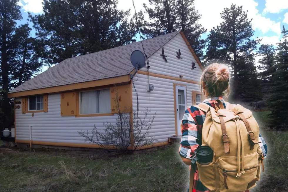 Tiny Larimer County Cabin Selling For Less Than $150K