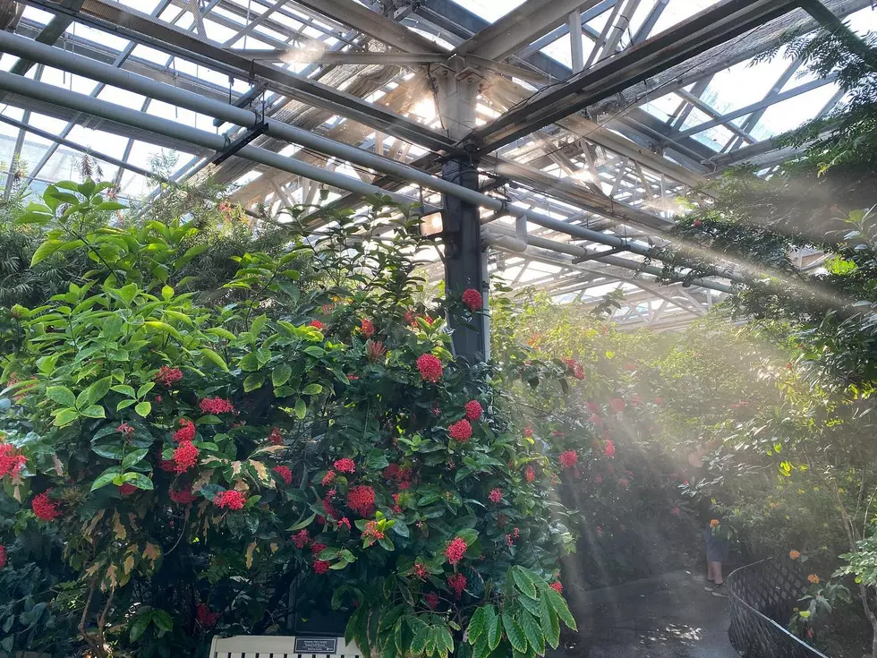 Butterfly Pavilion