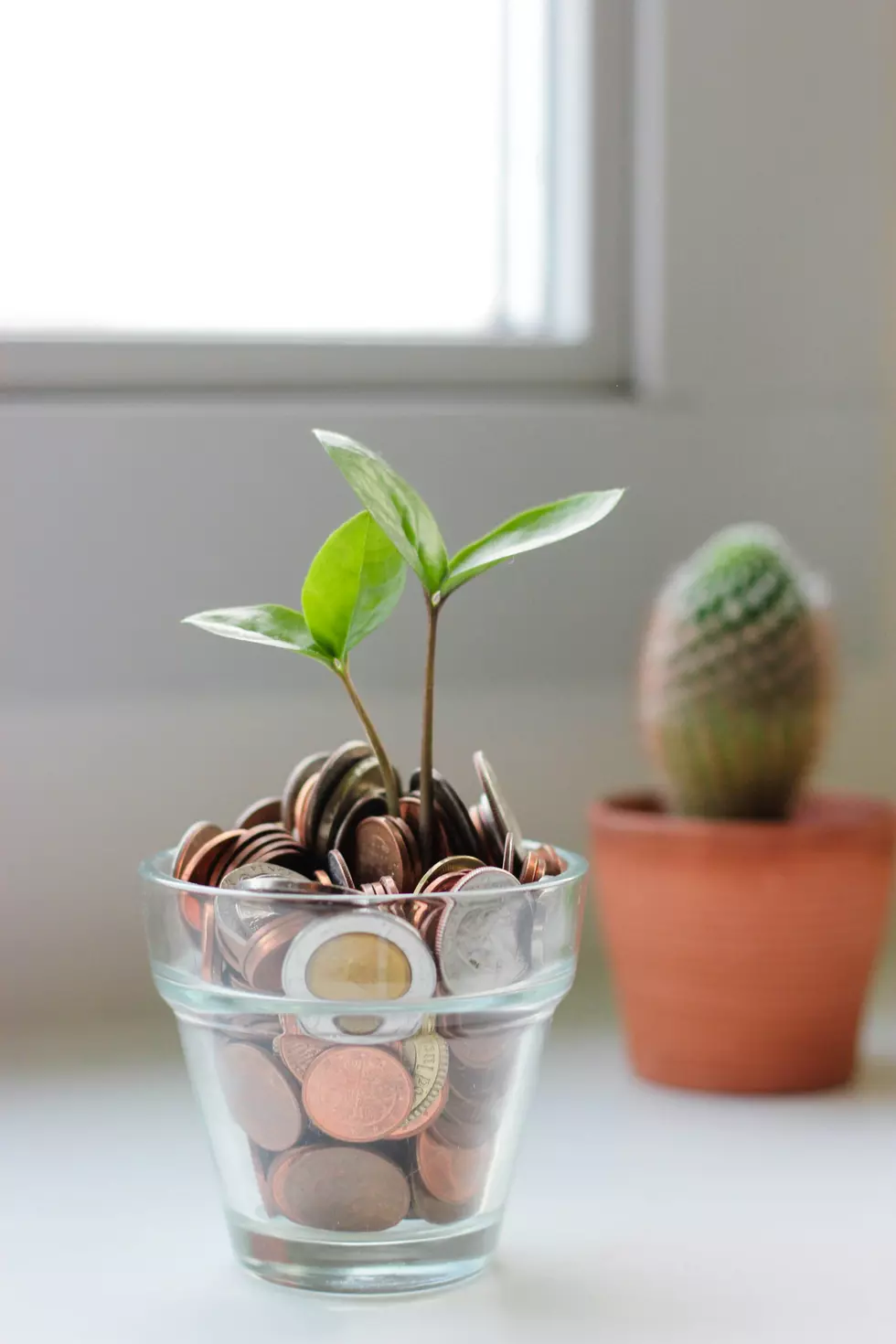 Photo by micheile henderson on Unsplash