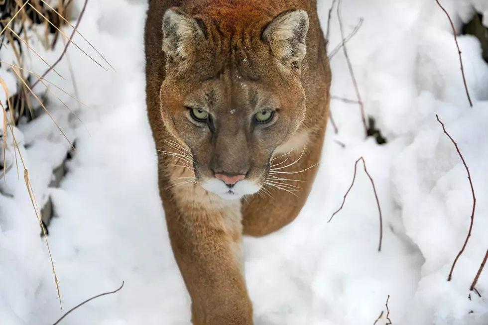 Photo by Robert Sachowski on Unsplash