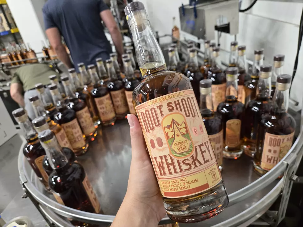 rootshootspirits.com