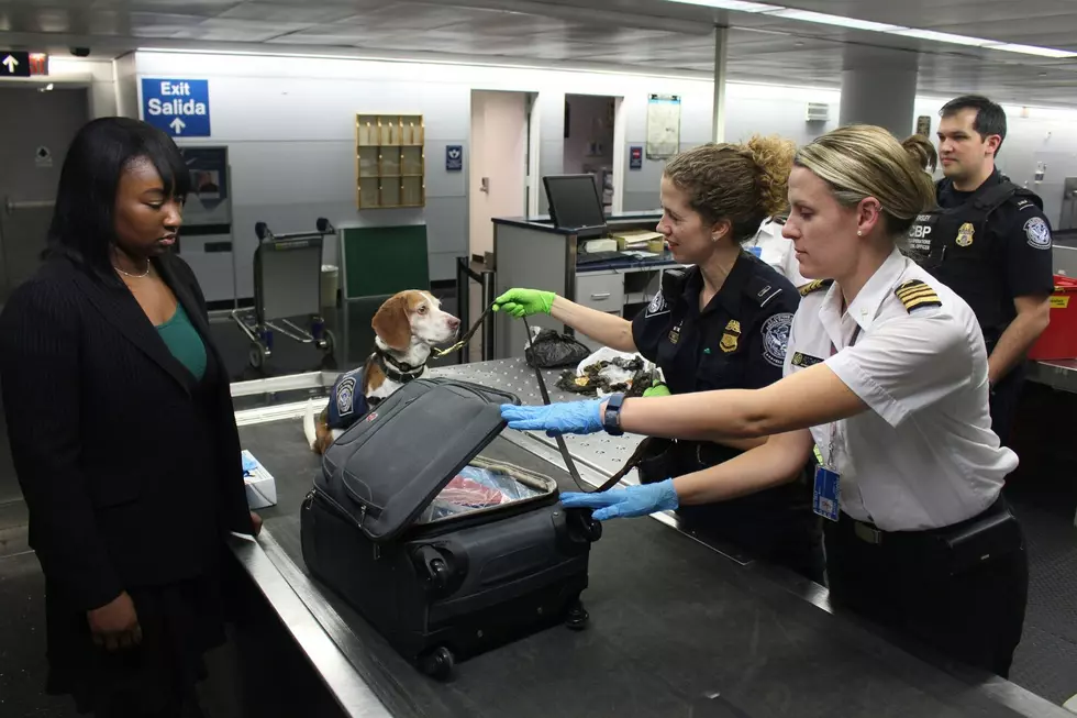 Too Many People Trying to Get Guns on Flights in Colorado