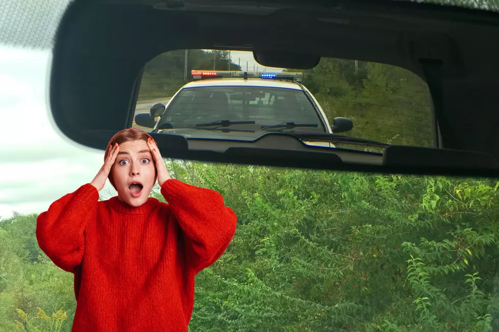 Too Strange To Be True: Colorado Laws Edition