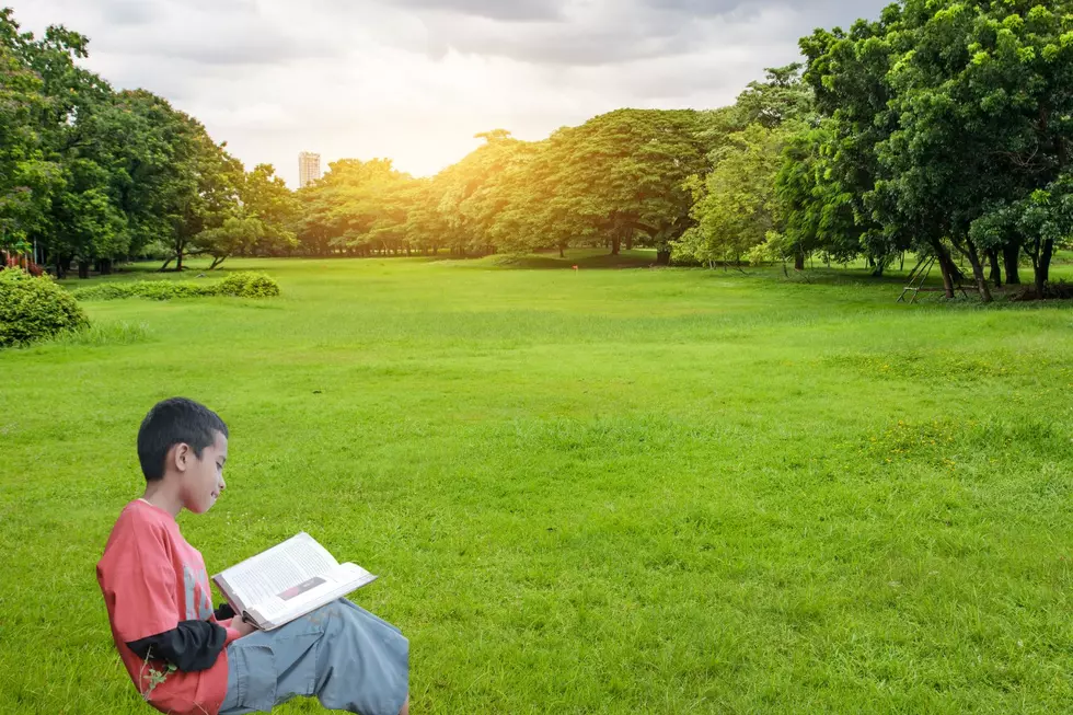 The Best Dang Reading Spots In Northern Colorado