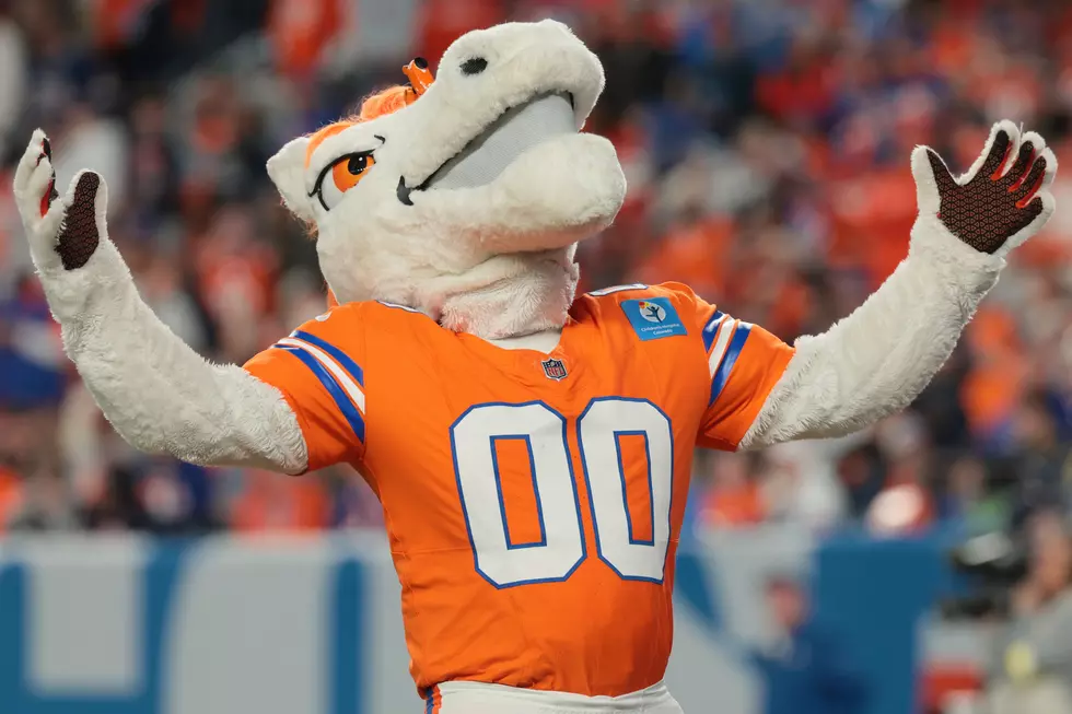Miles the Mascot Becomes Hall of Famer for Denver Broncos