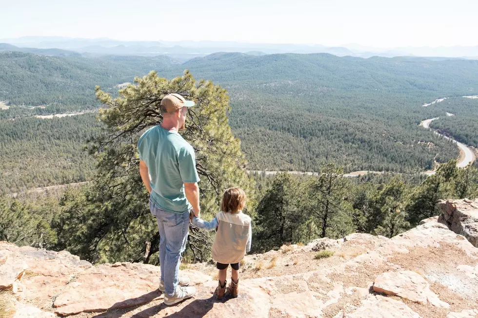 Hikes Great For Small Kids in Northern Colorado