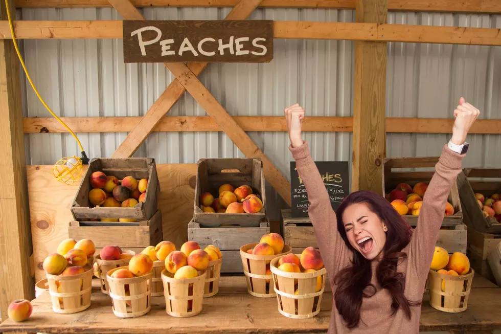 Craving Fresh Palisade Peaches? Here’s Where To Find Them