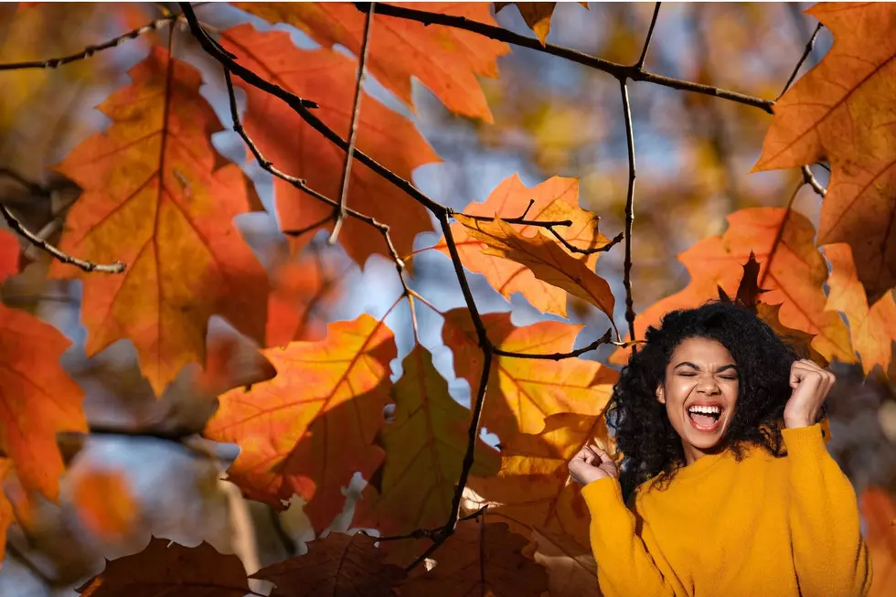 Where To See The Most Beautiful Fall Colors In Northern Colorado