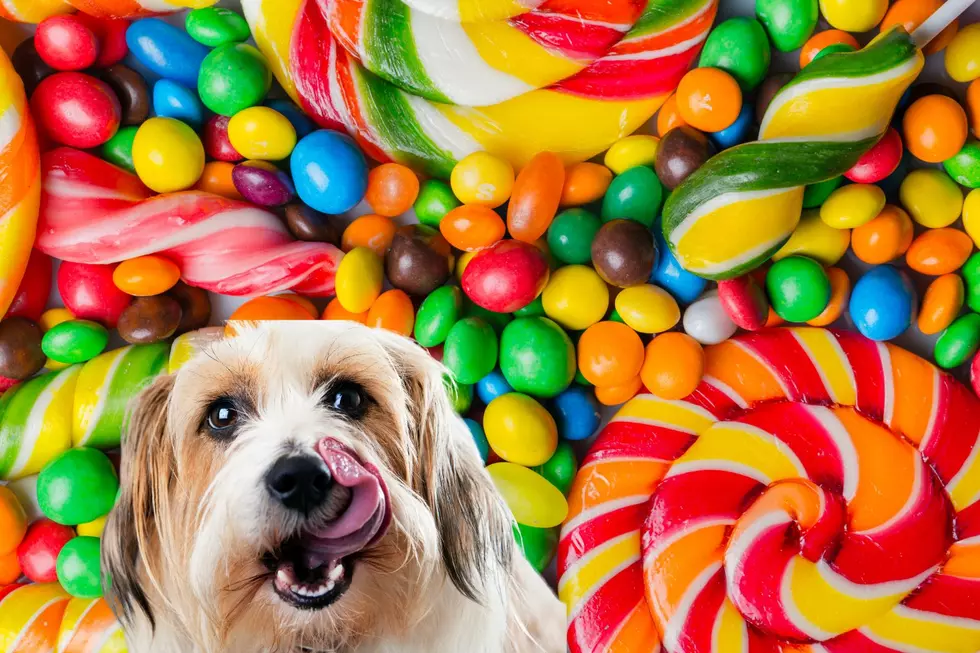 Colorado’s Most Popular Halloween Candy Is…