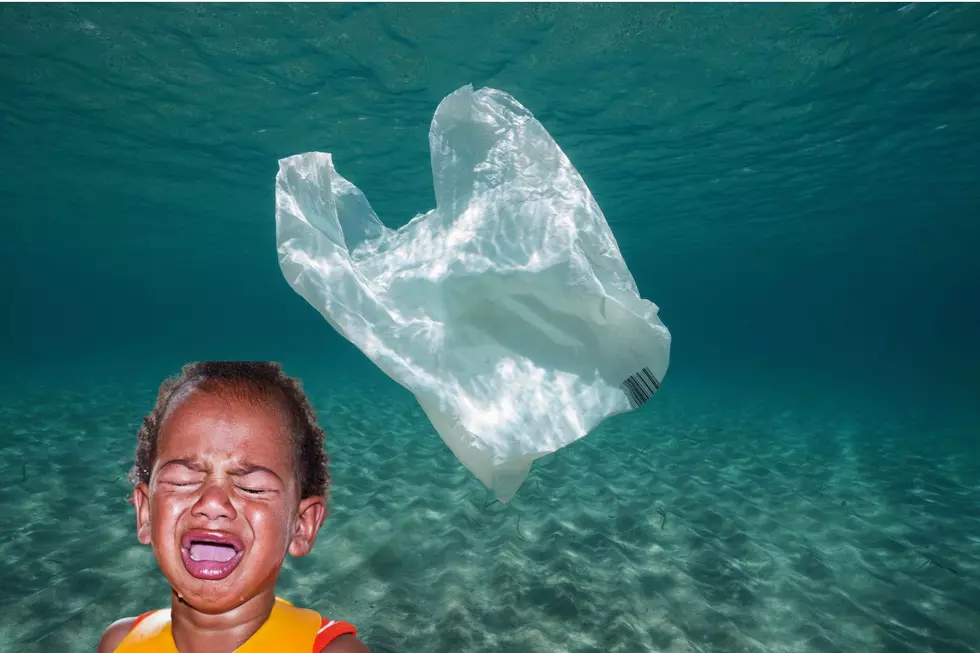 I Miss Plastic Grocery Bags: An Opinion Piece