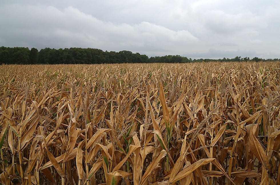 How long will the drought hang on?