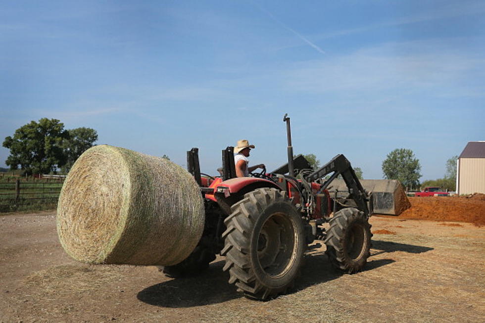 South Dakota Farmers, Ranchers Dealing With Hay Shortage