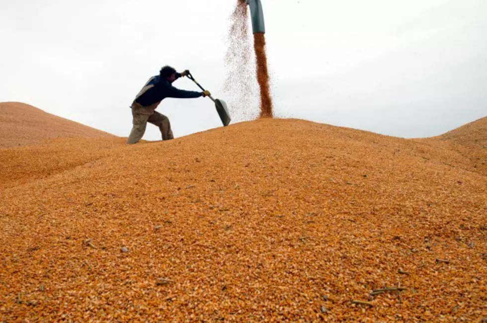 Crop Report for South Dakota