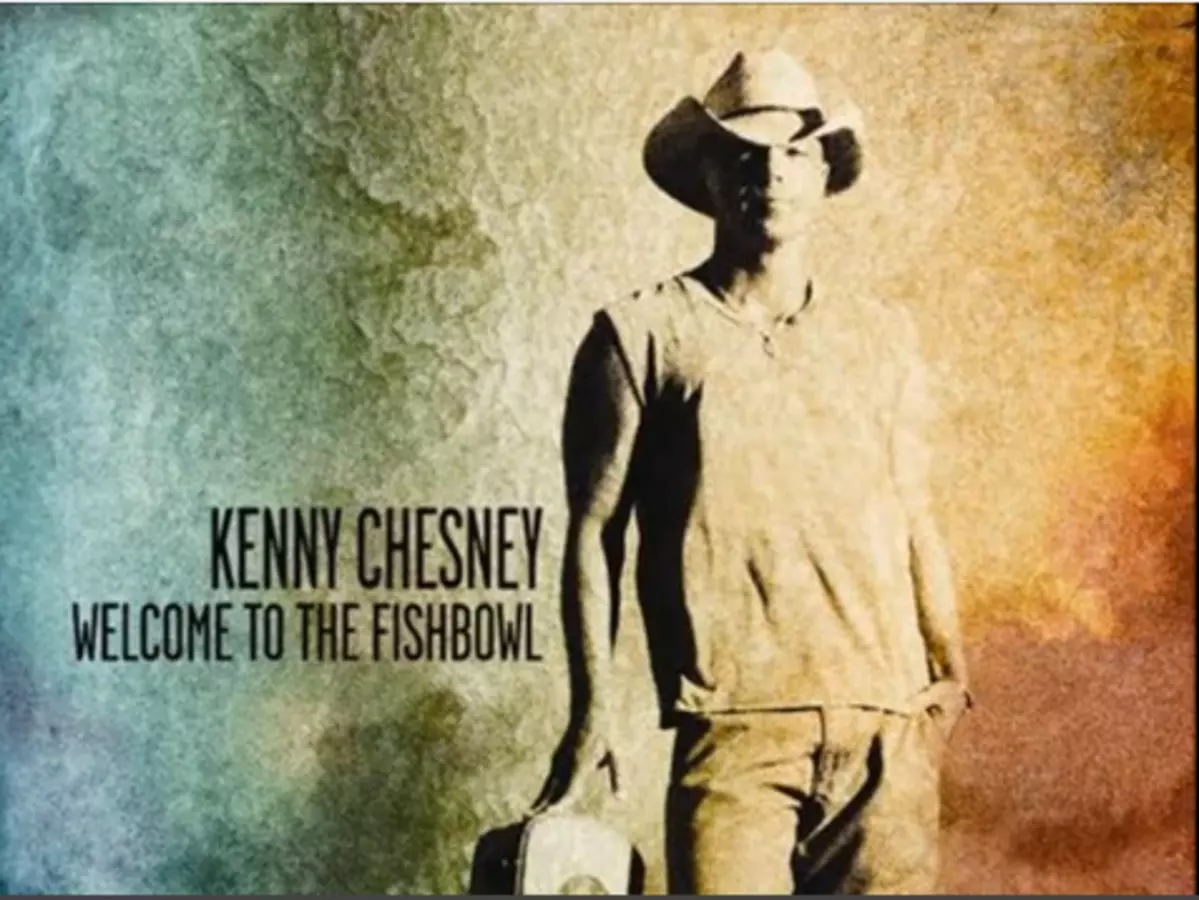 Feel like flies. Fishbowl певец. Обложка Kenny Chesney Song for the Saints. Kenny Chesney just to say we did.