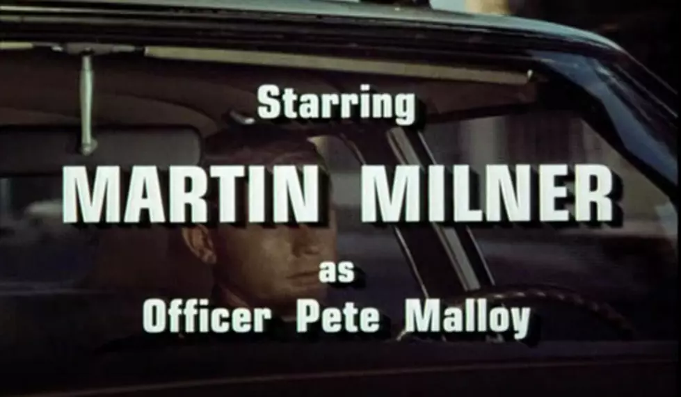 Iconic Television Actor Martin Milner Has Died at Age 83
