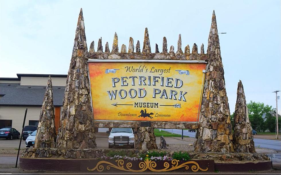 South Dakota Is Home to the World&#8217;s Largest Petrified Wood Park