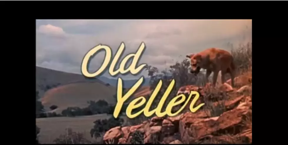 Classic Movie: We All Loved That &#8216;Old Yeller&#8217; Dog, A Disney Classic