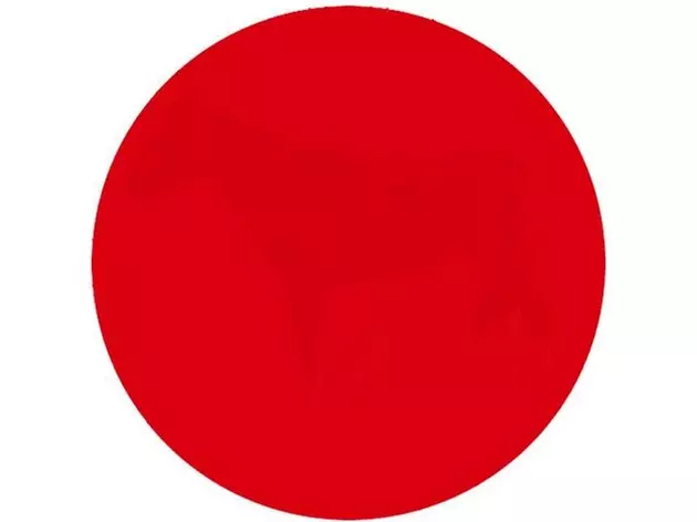 What&#8217;s the Hidden Picture in This Red Dot?