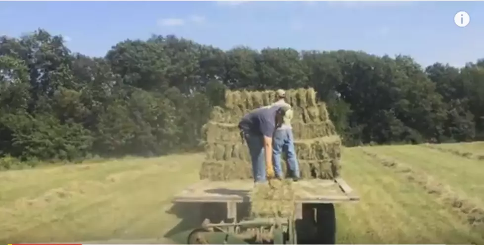 Baling Hay for Love of the Game