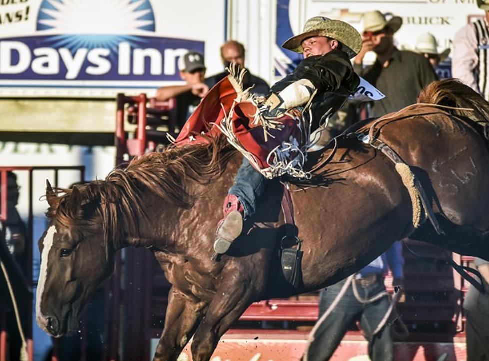 Top 5 Midwest Rodeos You Should Attend