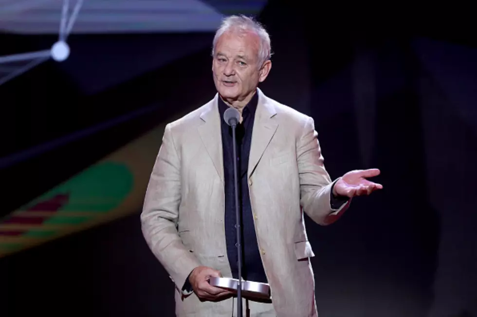 Bill Murray's Brother