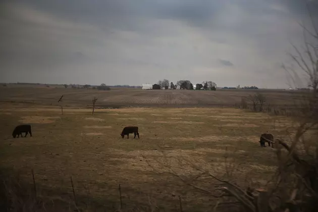 What Is the Value of South Dakota Farmland?